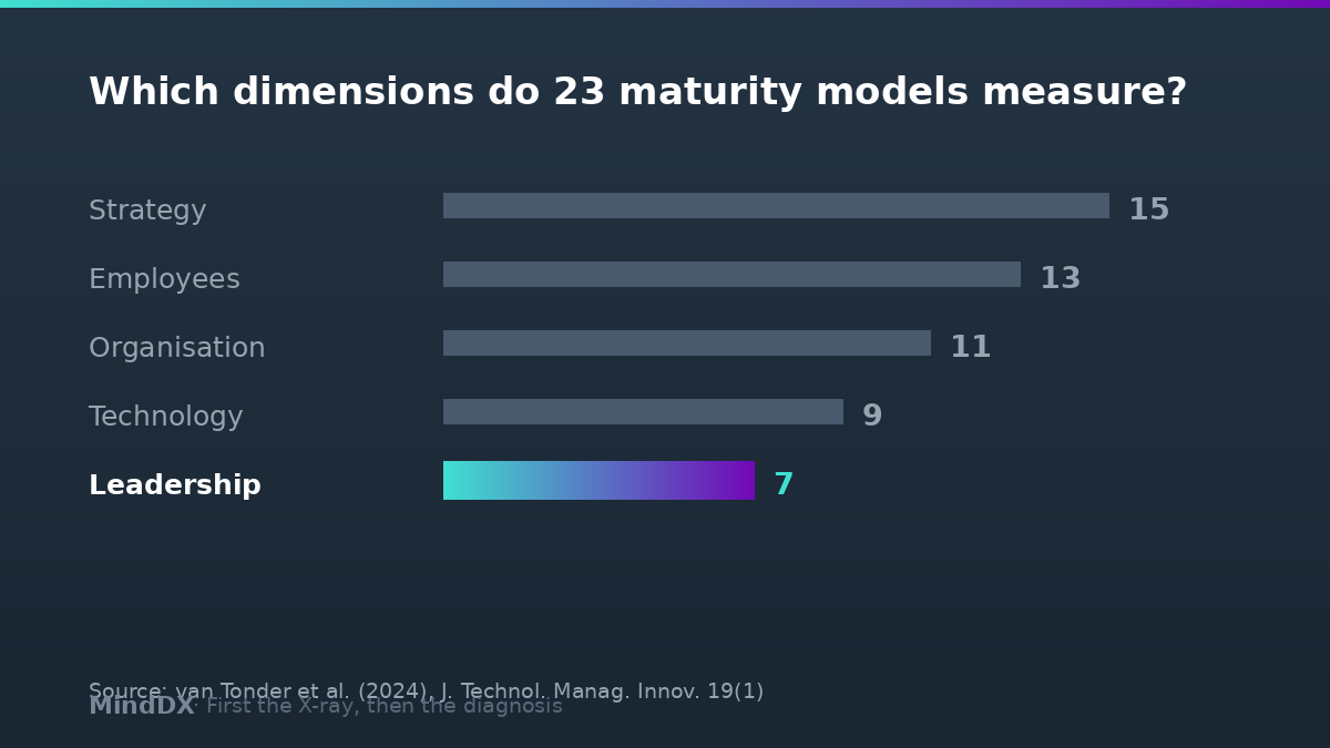 The leadership dimension is measured in only 7 of 23 digital maturity models — van Tonder et al. 2024