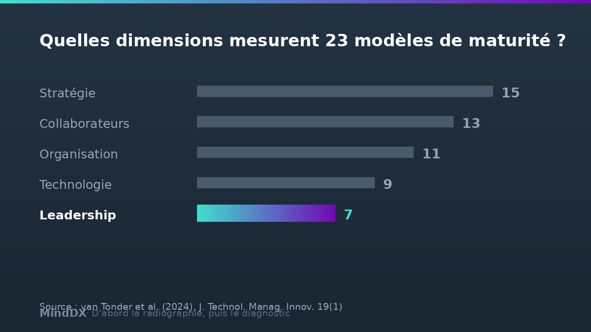 La dimension leadership n'est mesurée que dans 7 des 23 modèles de maturité numérique — van Tonder et al. 2024