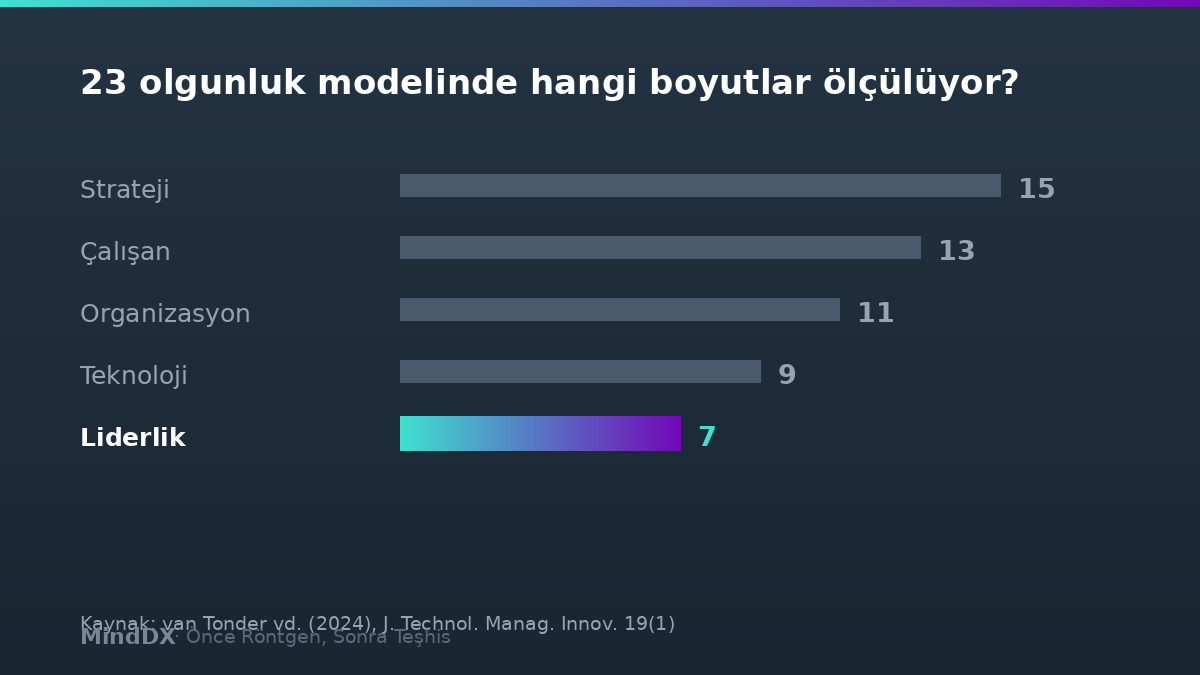 23 dijital olgunluk modelinde liderlik boyutu yalnızca 7 modelde ölçülüyor — van Tonder vd. 2024